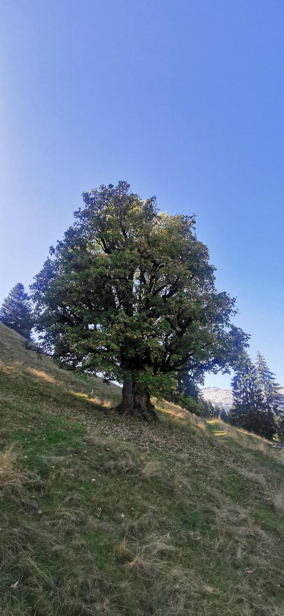 Gasthof Kreuz Marbach ภายนอก รูปภาพ