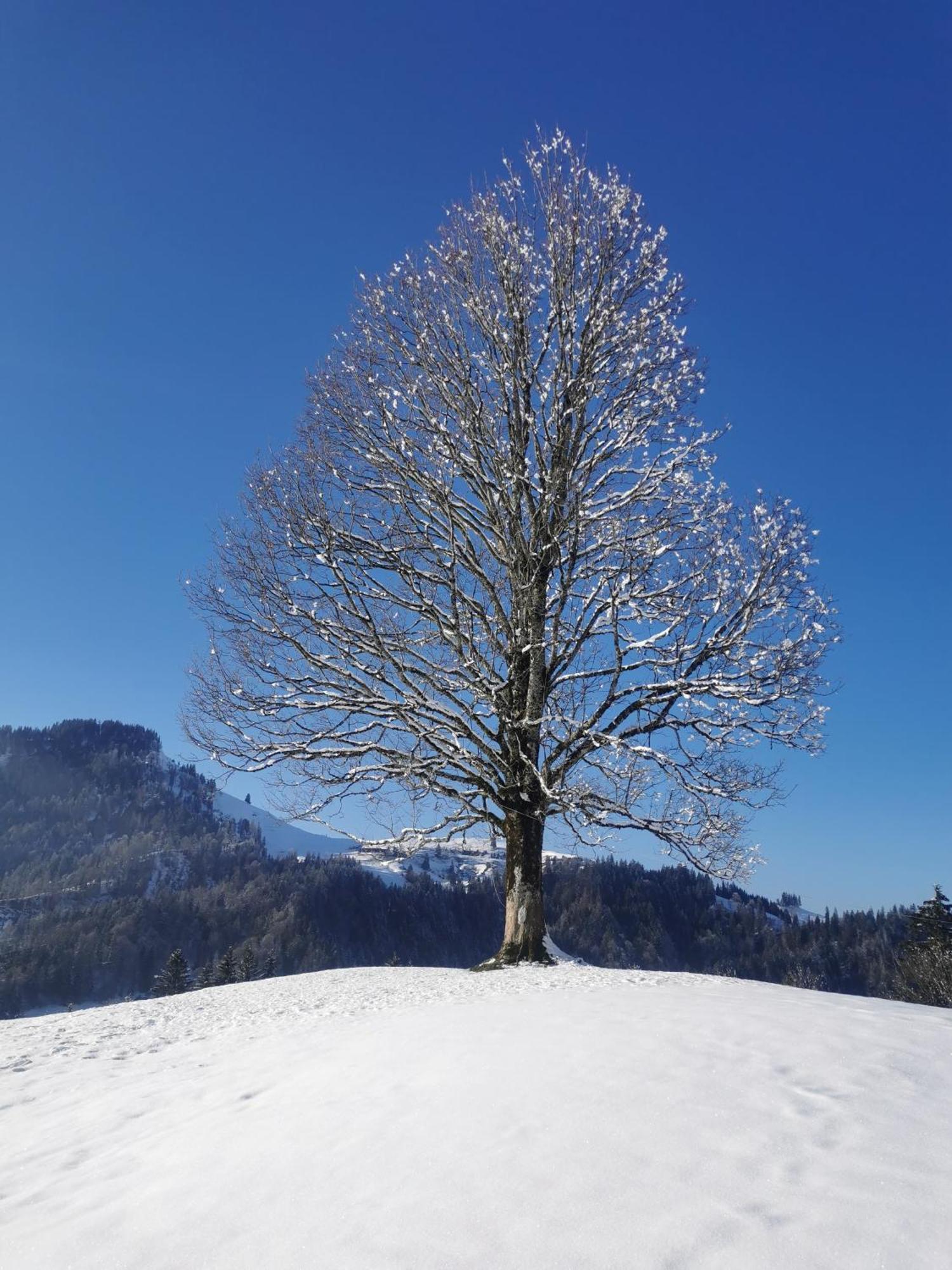 Gasthof Kreuz Marbach ภายนอก รูปภาพ
