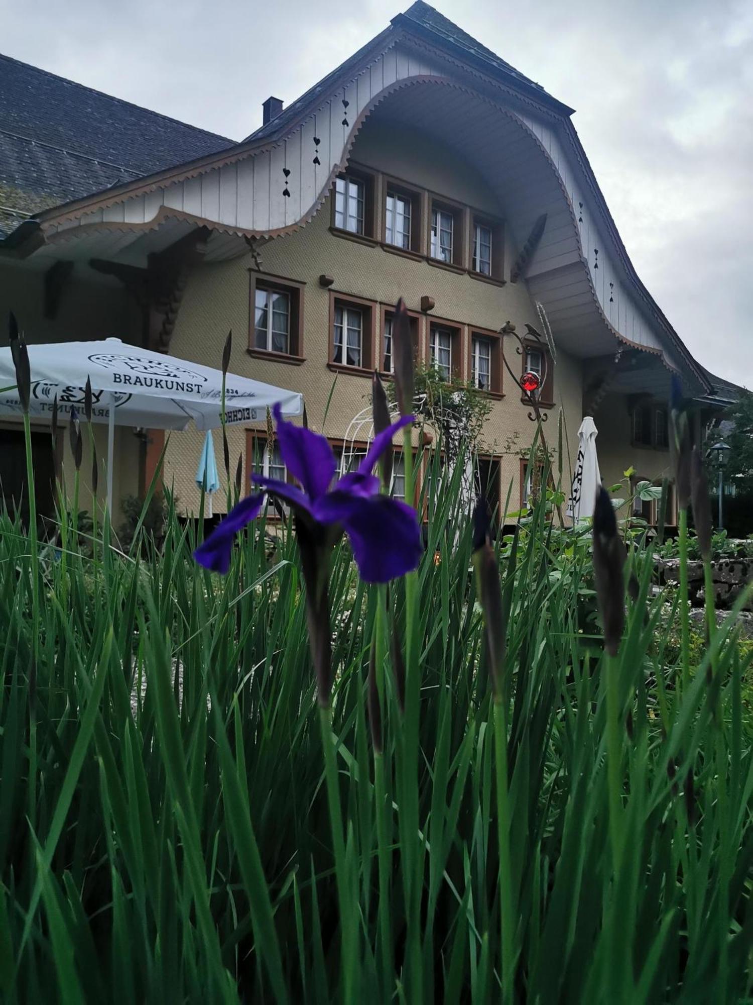Gasthof Kreuz Marbach ภายนอก รูปภาพ