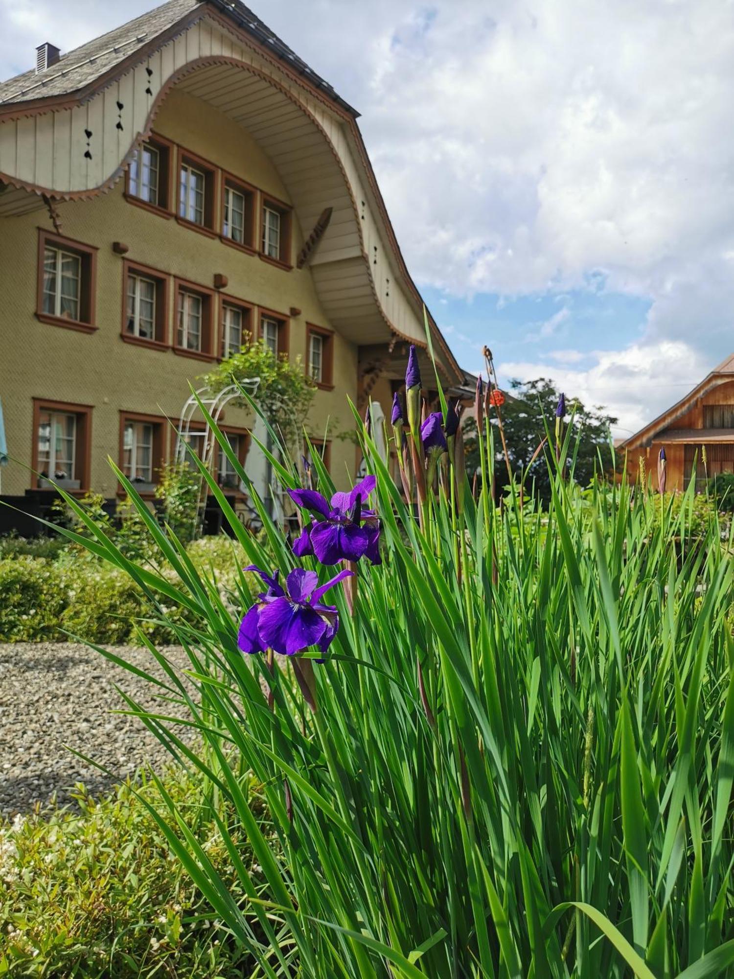 Gasthof Kreuz Marbach ภายนอก รูปภาพ