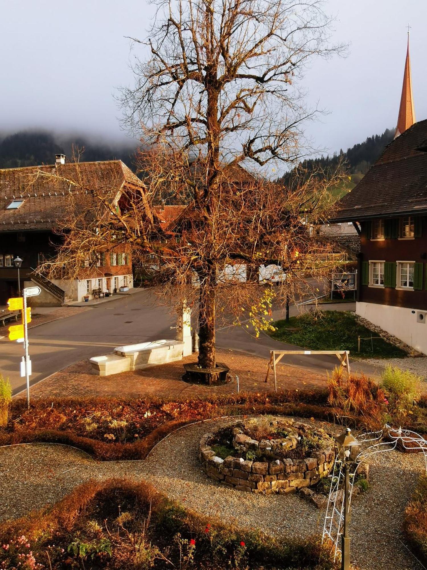 Gasthof Kreuz Marbach ภายนอก รูปภาพ